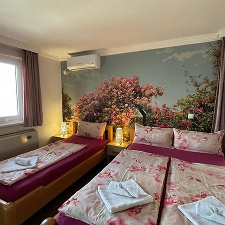 Apartmani "Marija" Golubac Zewnętrze zdjęcie