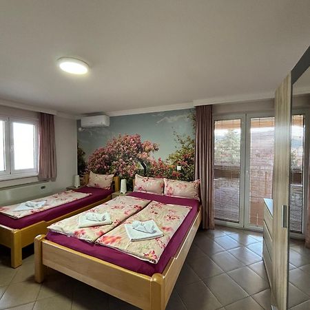 Apartmani "Marija" Golubac Zewnętrze zdjęcie