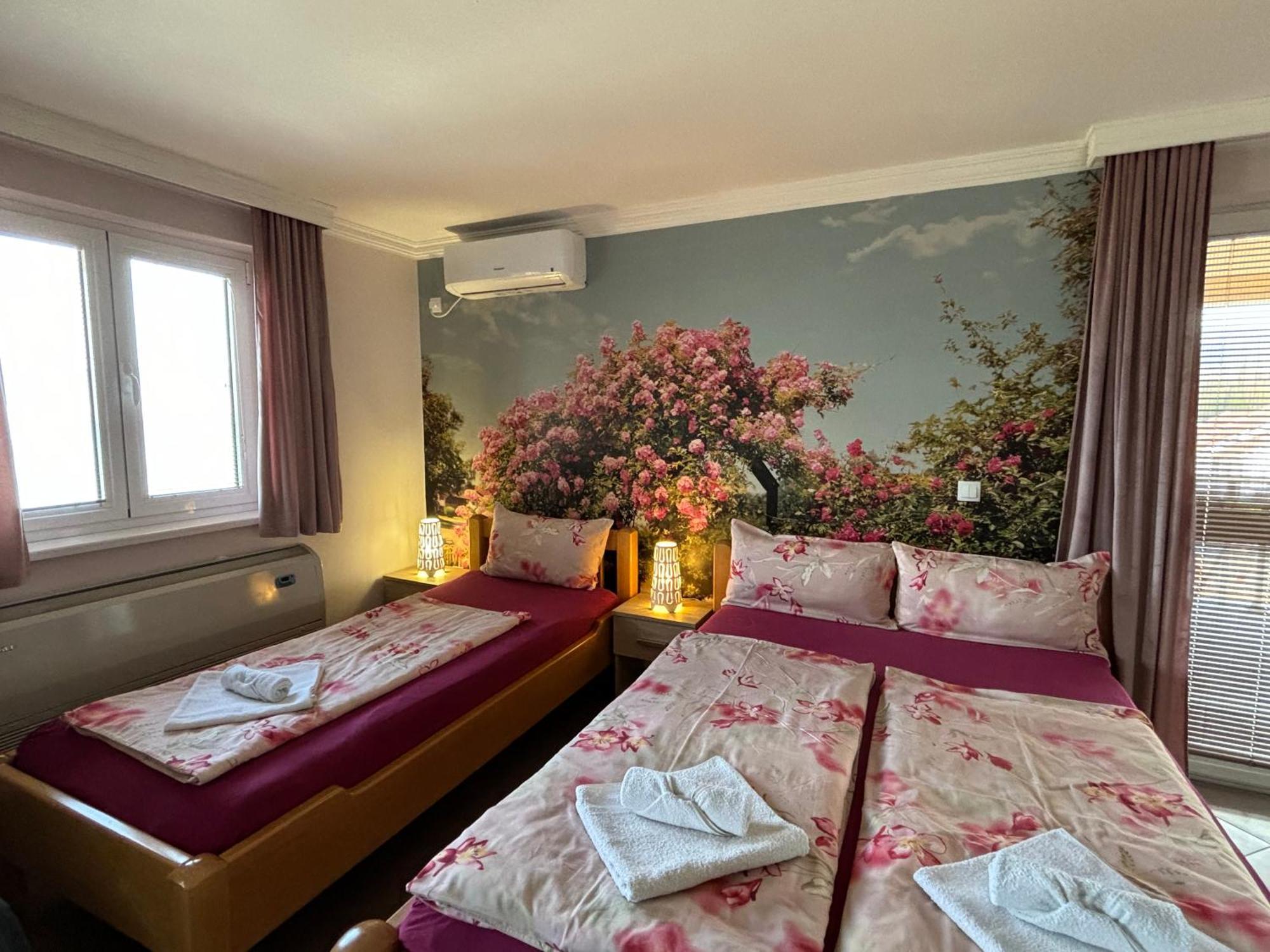 Apartmani "Marija" Golubac Zewnętrze zdjęcie