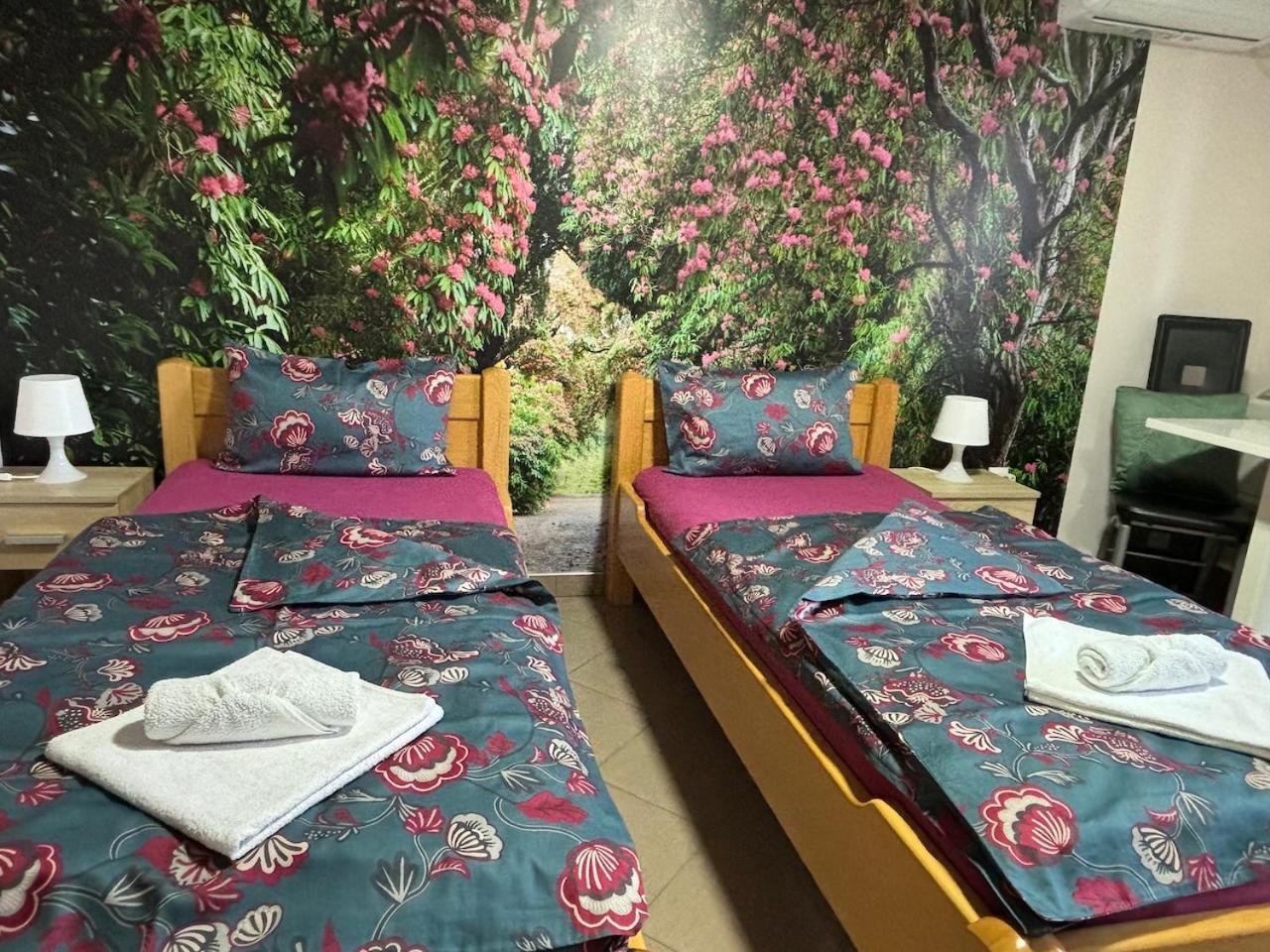 Apartmani "Marija" Golubac Zewnętrze zdjęcie