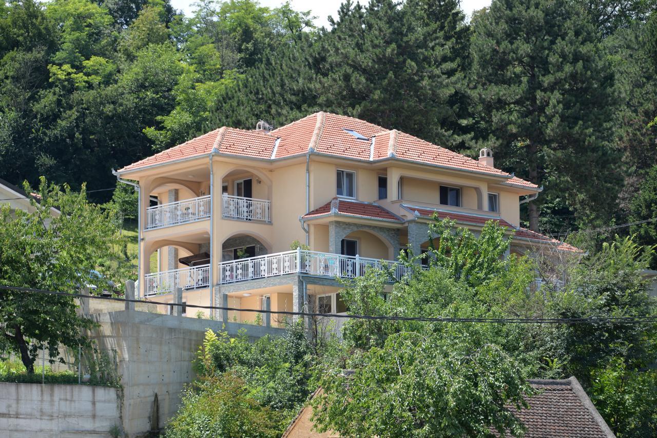 Apartmani "Marija" Golubac Zewnętrze zdjęcie